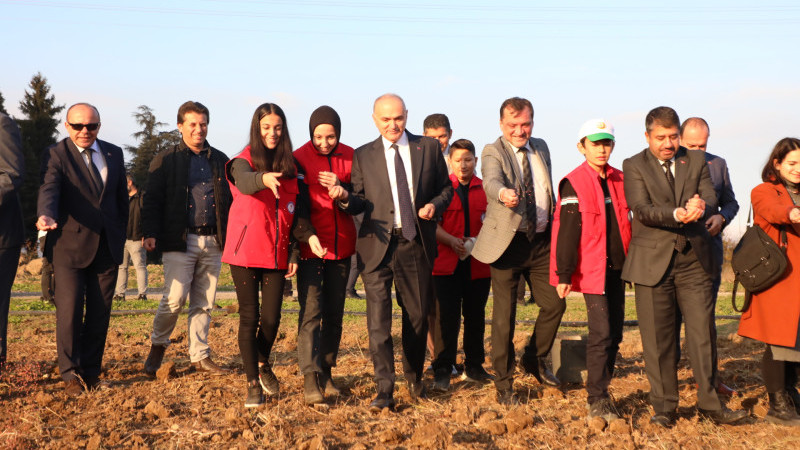 DÜZCE BELEDİYESİ MISIR, BUĞDAY VE SEBZE ÜRETİYOR