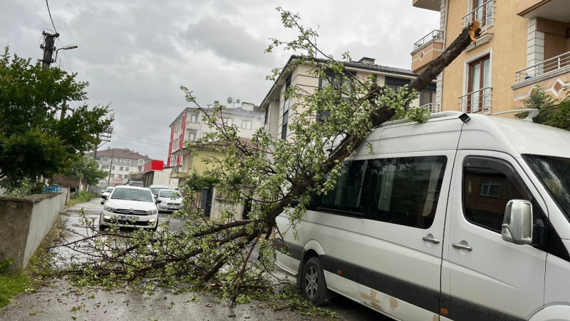 ŞİDDETLİ RÜZGAR AĞAÇLARI DEVİRDİ               