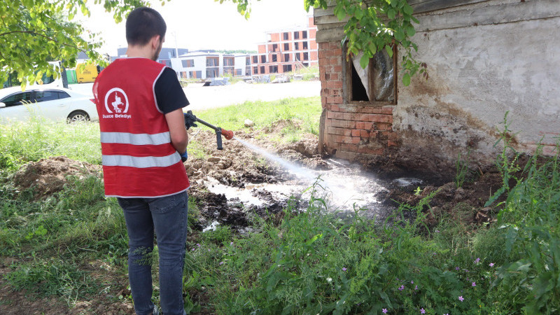 DÜZCE’DE HAŞERE İLE MÜCADELE SÜRÜYOR           