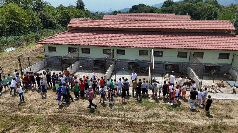 TÜGVA YAZ OKULU ÖĞRENCİLERİNDEN CAN DOSTLARA ZİYARET