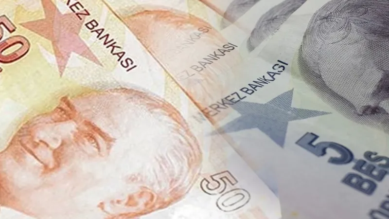 5 ve 50 TL'lik yeni banknotlar piyasada   